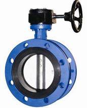 Concentric Butterfly Valve