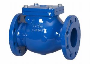 DIN CAST IRON SWING CHECK VALVE